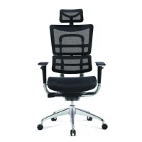 ICON-Architect-Headrest-800x800